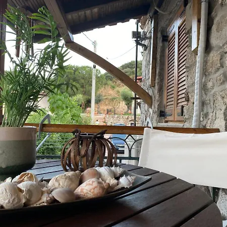 Despina'S House Villa Sykia Chalkidikis Exterior photo